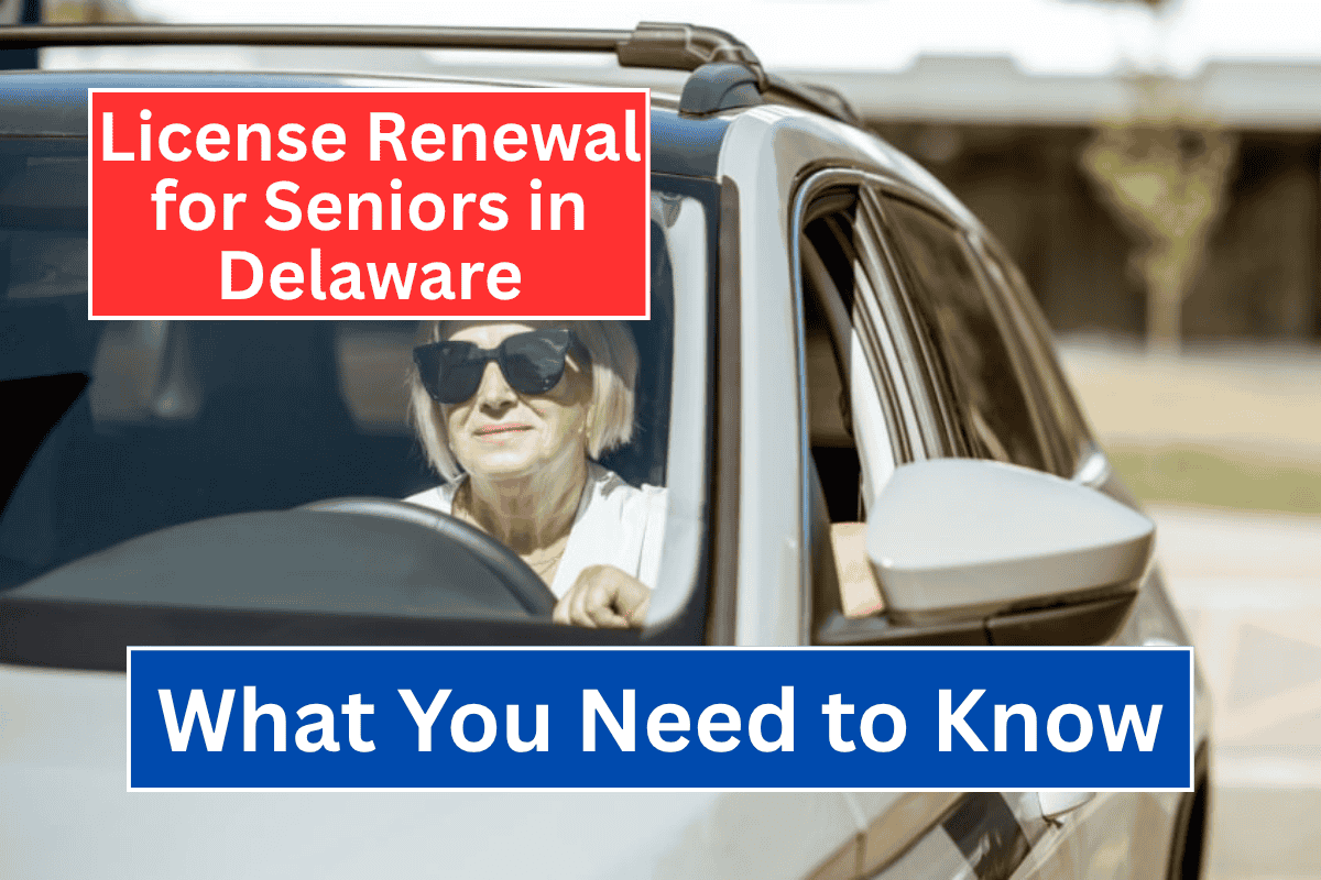 License Renewal for Seniors in Delaware: What You Need to Know