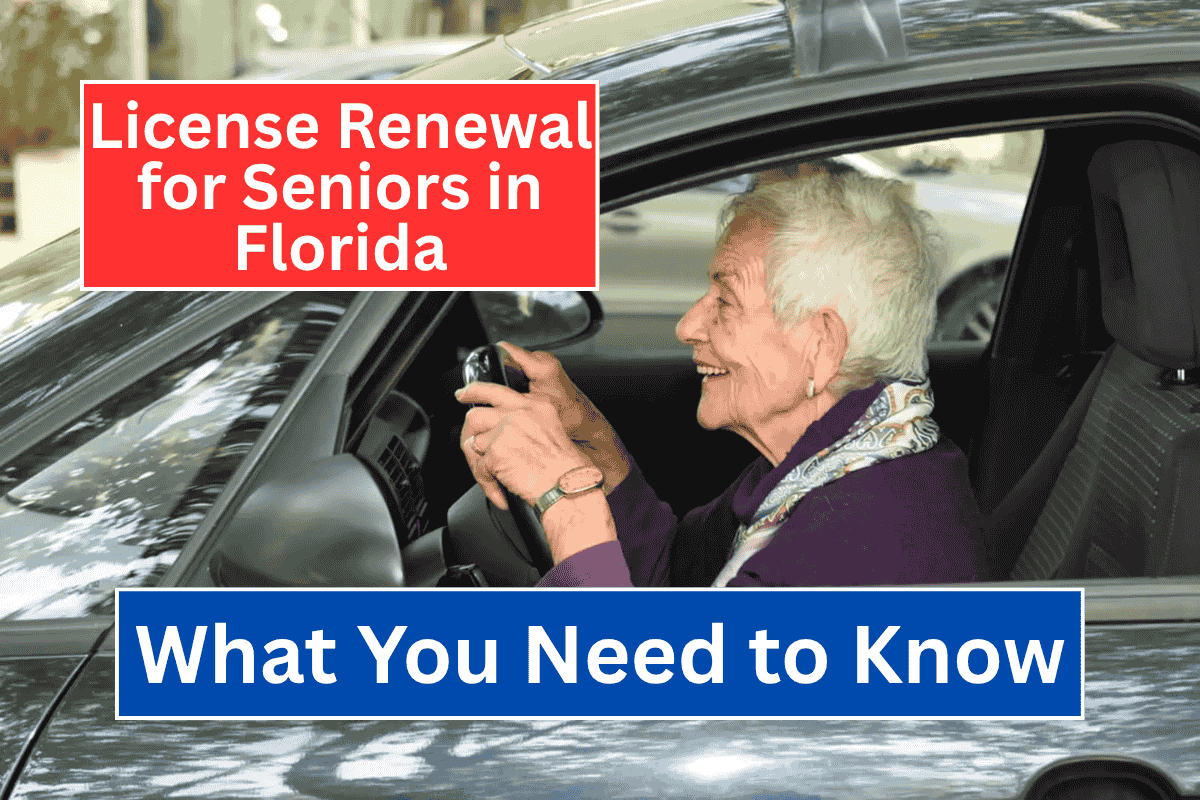 License Renewal for Seniors in Florida: What You Need to Know