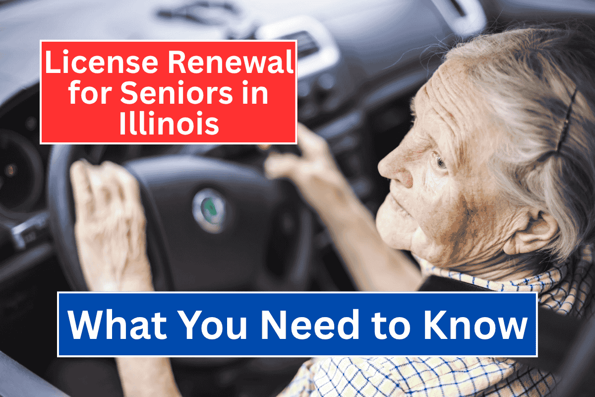 License Renewal for Seniors in Illinois: What You Need to Know