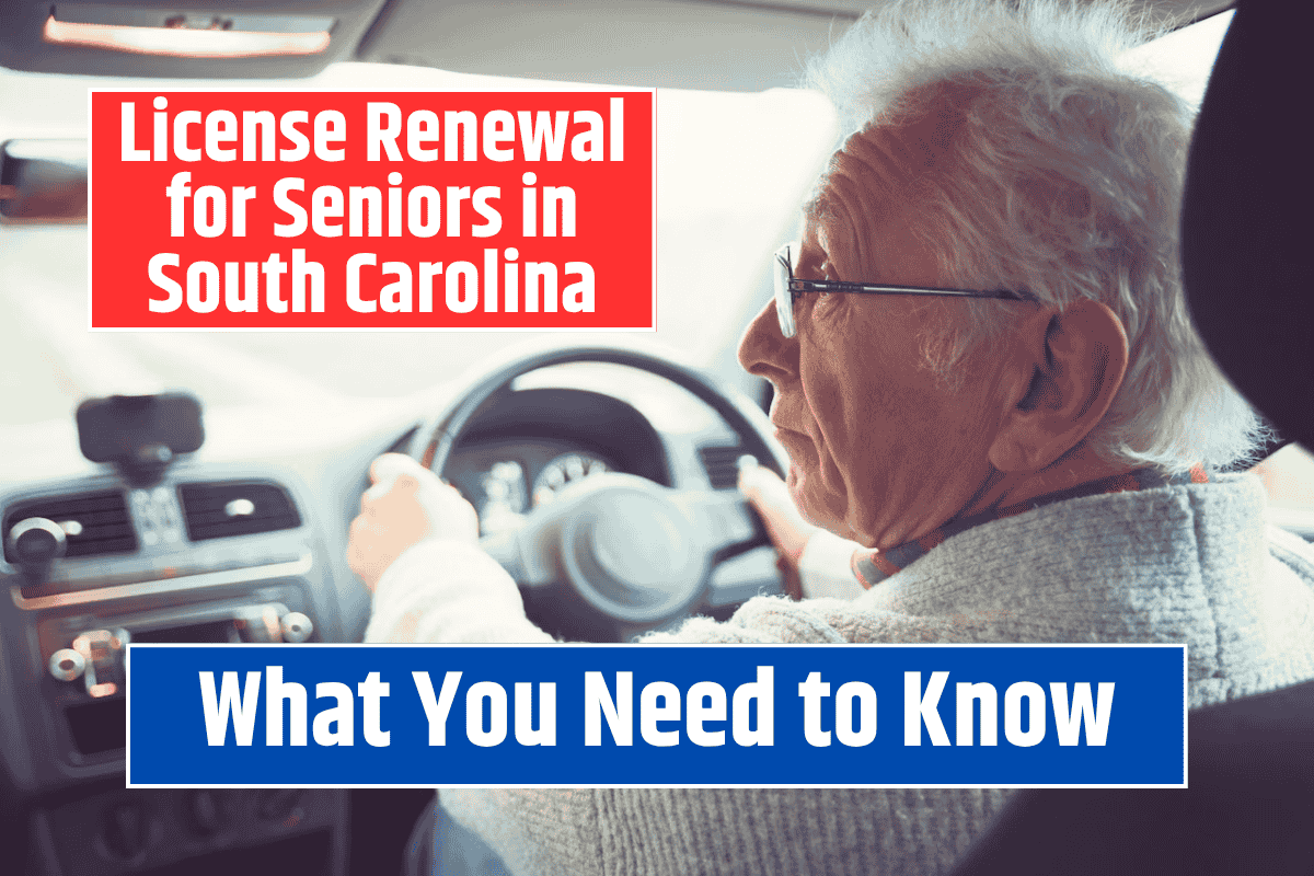 License Renewal for Seniors in South Carolina What You Need to Know