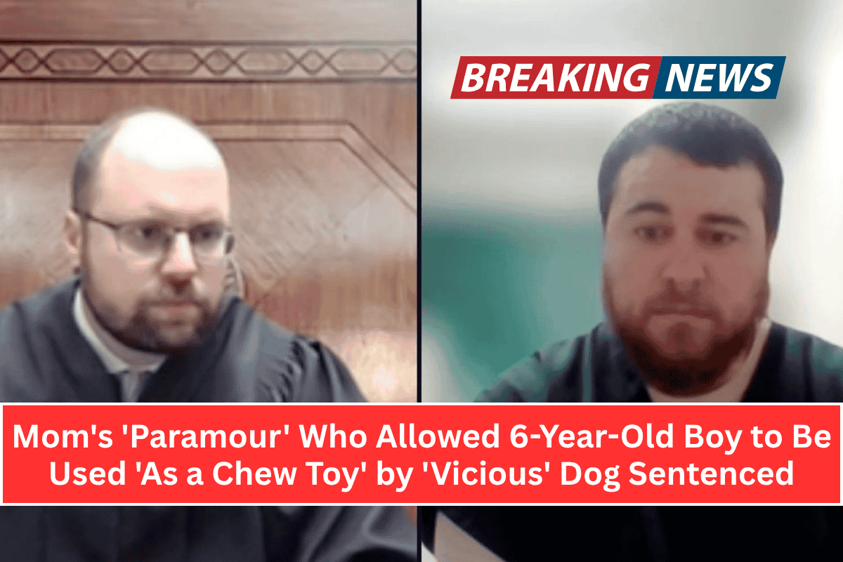 Mom's 'Paramour' Who Allowed 6-Year-Old Boy to Be Used 'As a Chew Toy' by 'Vicious' Dog Sentenced