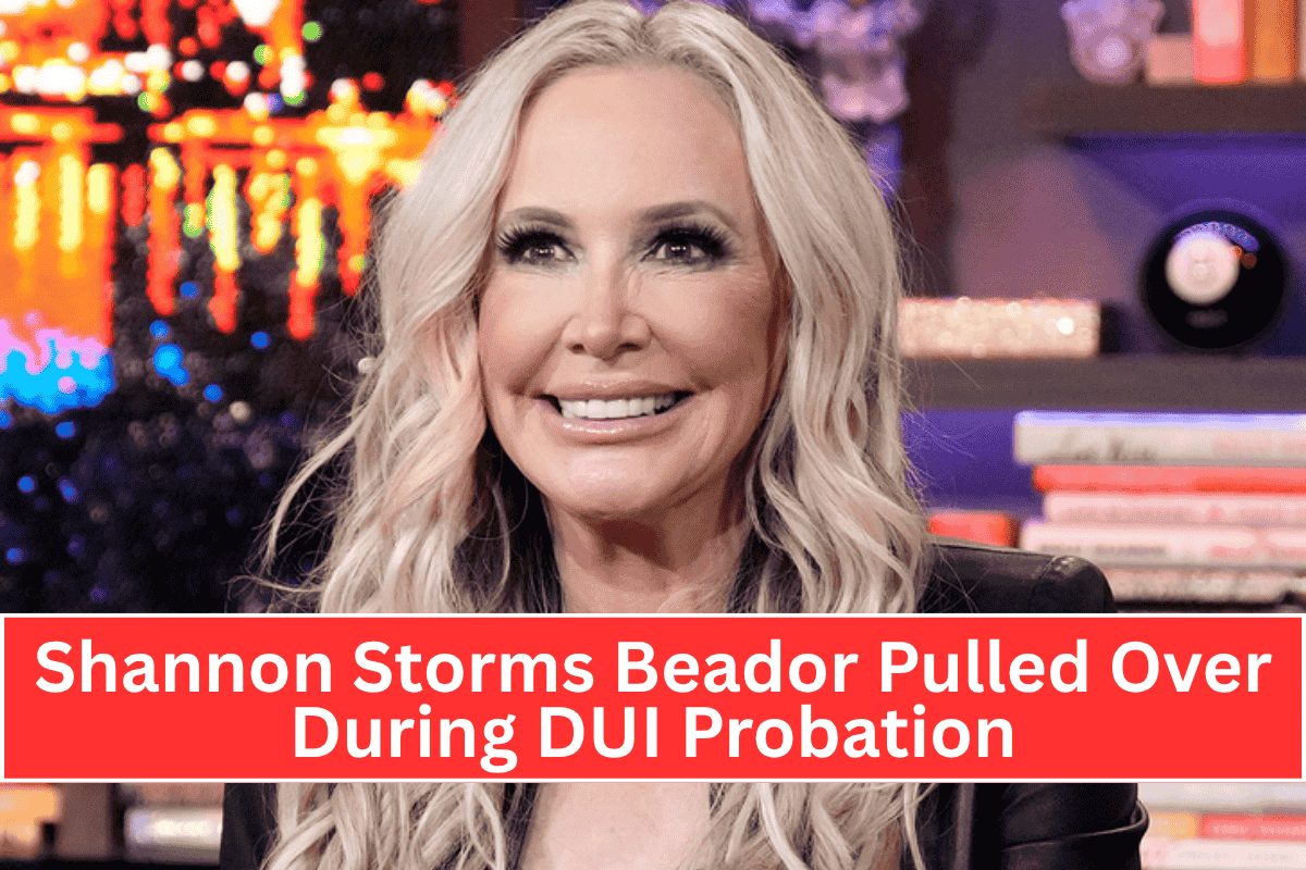 Shannon Storms Beador Pulled Over During DUI Probation: What We Know