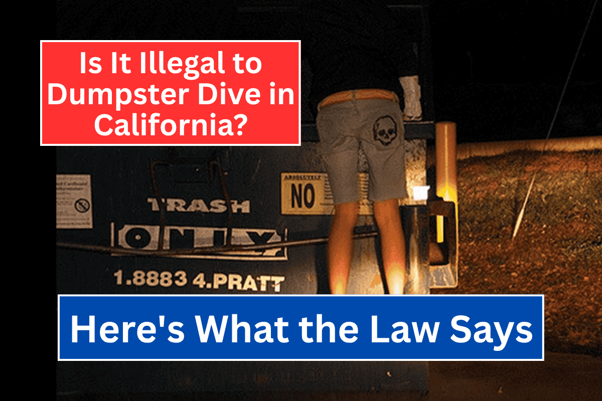 Is It Illegal to Dumpster Dive in California? Here’s What the Law Says