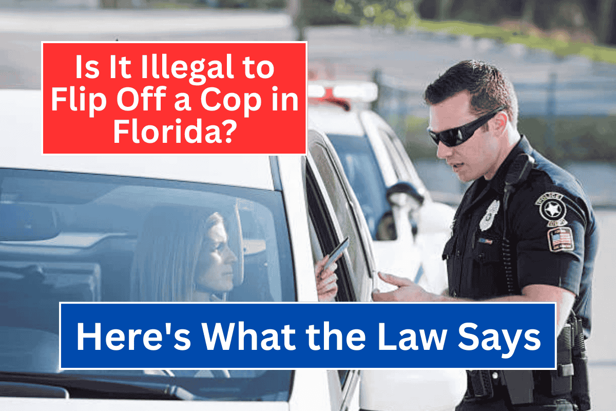 Is It Illegal to Flip Off a Cop in Florida? Here's What the Law Says