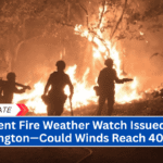 Urgent Fire Weather Watch Issued for Washington—Could Winds Reach 40 MPH?