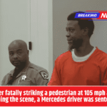 After fatally striking a pedestrian at 105 mph and escaping the scene, a Mercedes driver was sentenced