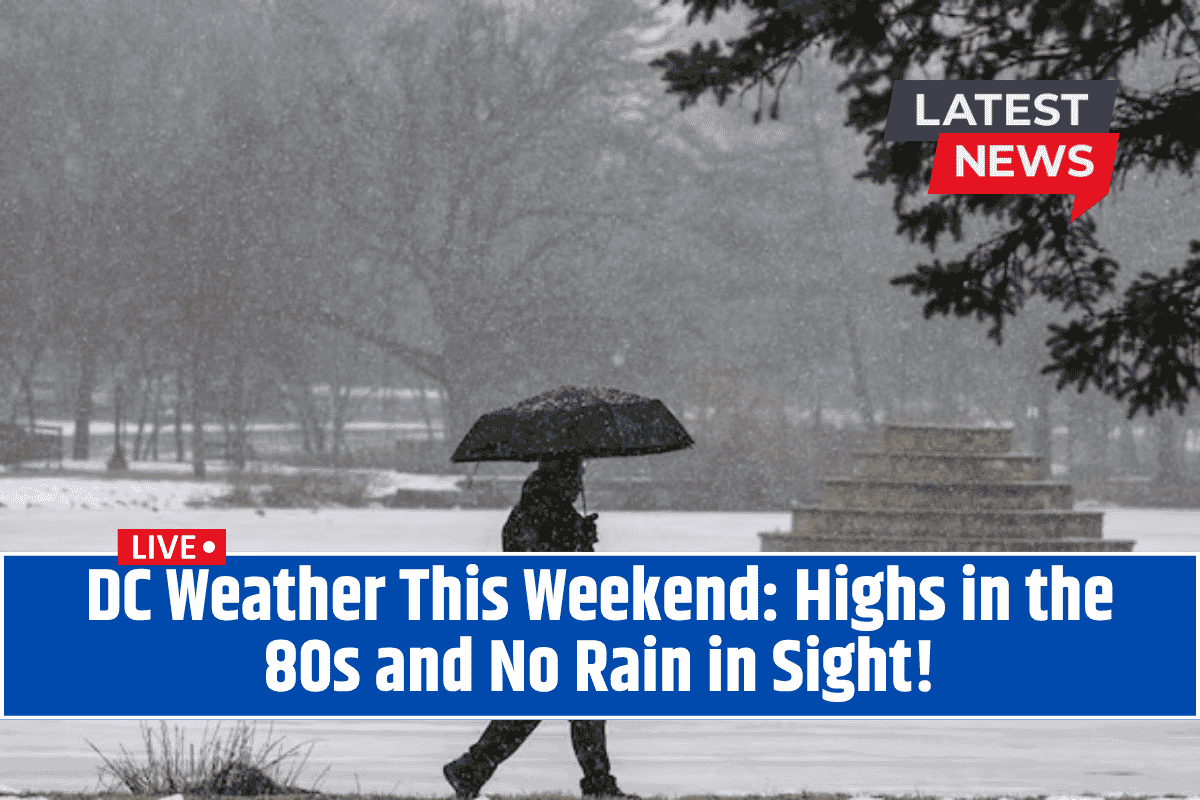 DC Weather This Weekend: Highs in the 80s and No Rain in Sight!