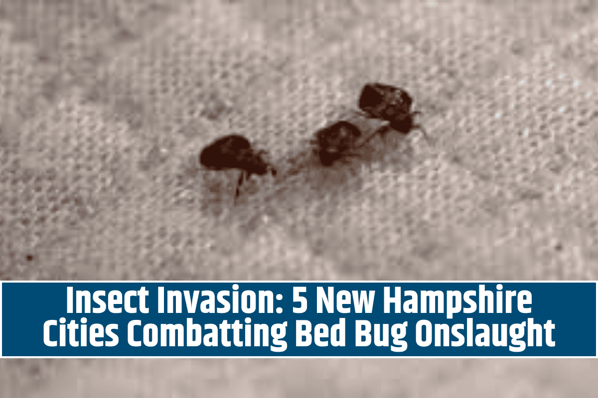 Insect Invasion: 5 New Hampshire Cities Combatting Bed Bug Onslaught