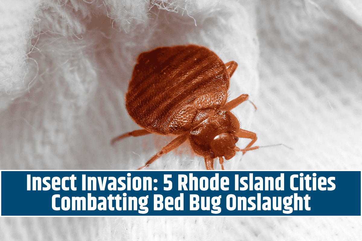 Insect Invasion: 5 Rhode Island Cities Combatting Bed Bug Onslaught