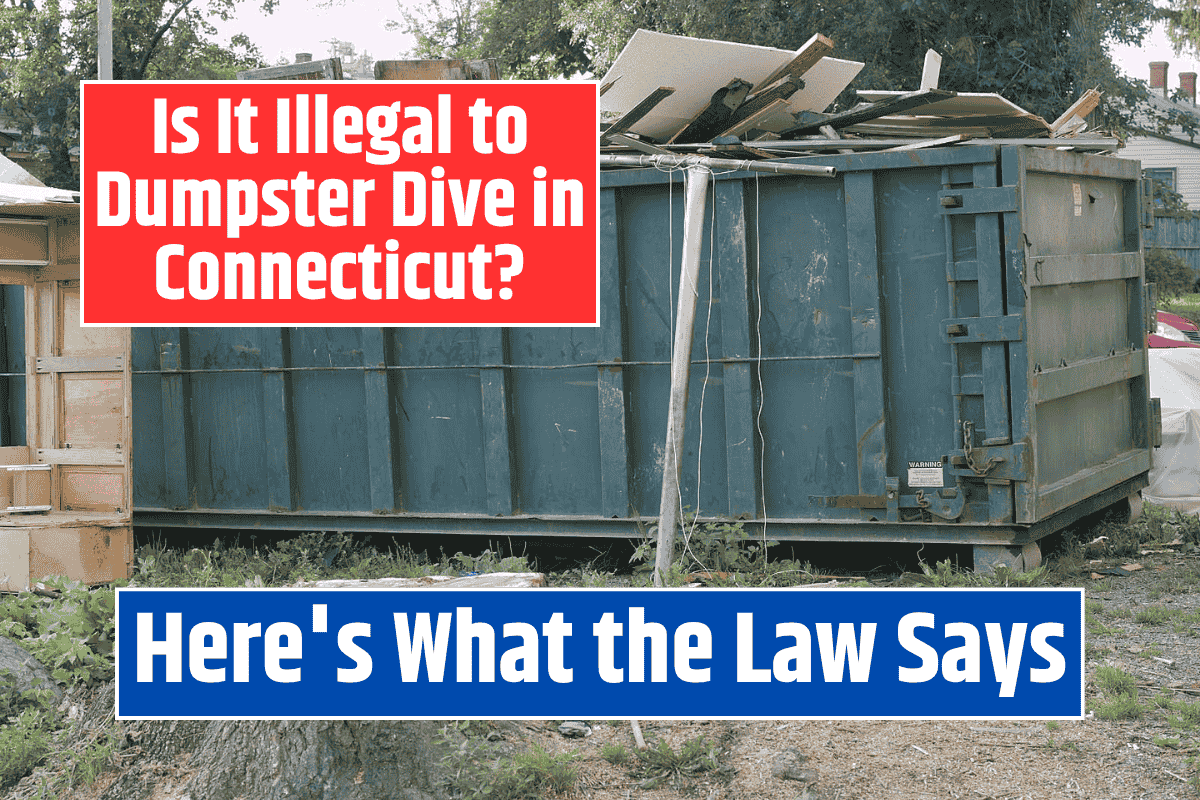 Is It Illegal to Dumpster Dive in Connecticut? Here’s What the Law Says