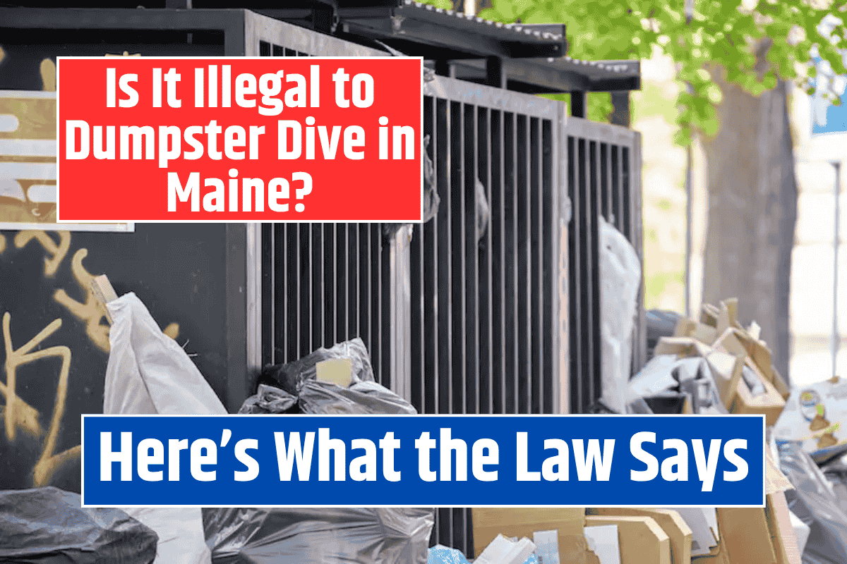 Is It Illegal to Dumpster Dive in Maine? Here’s What the Law Says