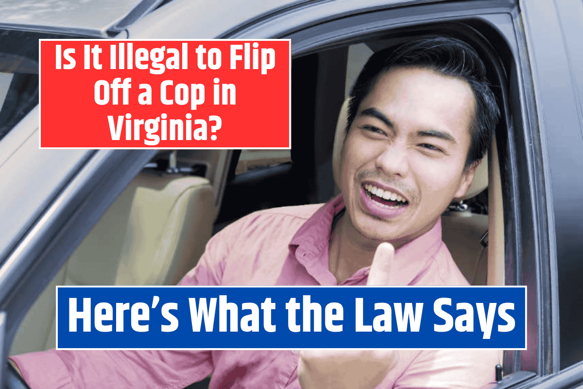 Is It Illegal to Flip Off a Cop in Virginia? Here's What the Law Says