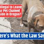 Is It Illegal to Leave Your Pet Chained Outside in Oregon? Here's What the Law Says